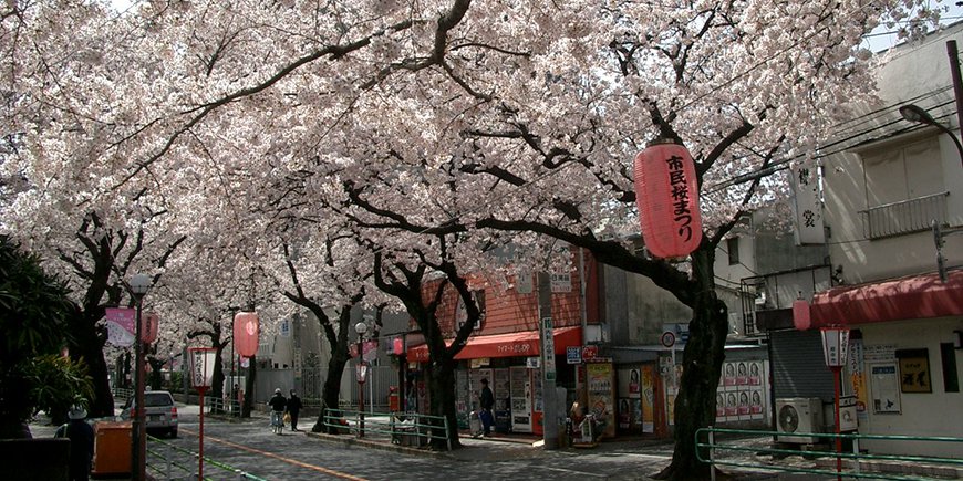 On the challenges of Japanese translation