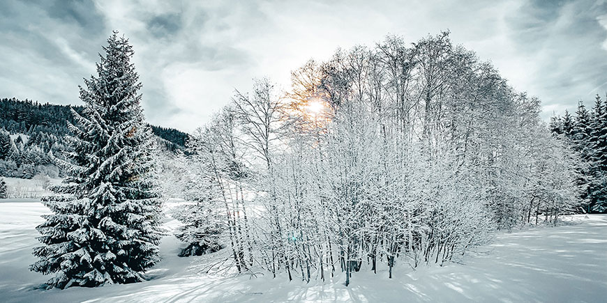 Christmas is Coming!