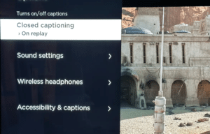 Business of Subtitling