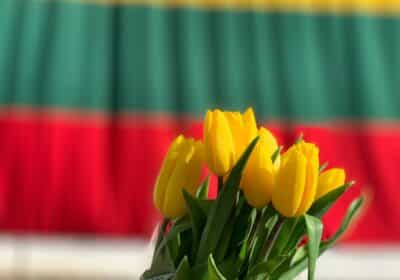 Lithuanian subtitling services